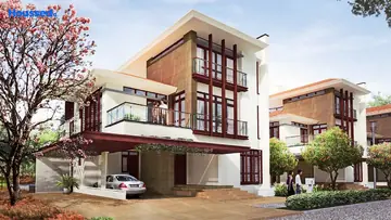 Project Image of Olympia Panache - Image 342836