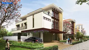 Project Image of Olympia Panache - Image 342838