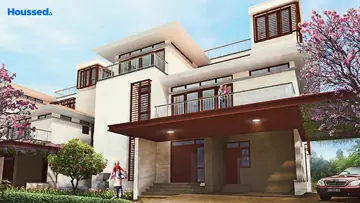 Project Image of Olympia Panache - Image 342839