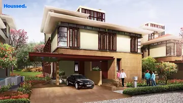 Project Image of Olympia Panache - Image 342840