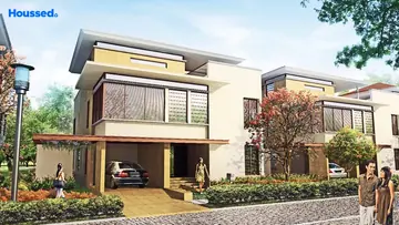 Project Image of Olympia Panache - Image 342842