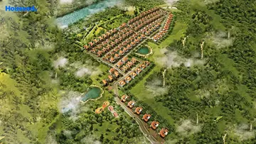 Project Image of Olympia Panache - Image 342845