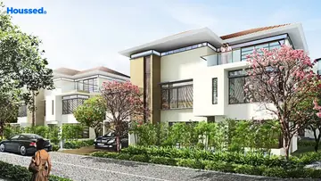 Project Image of Olympia Panache - Image 342844