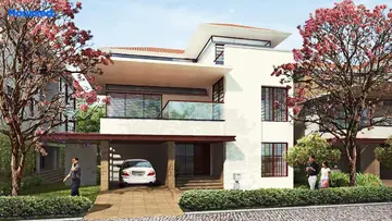 Project Image of Olympia Panache - Image 342837