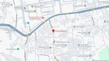 Location of Precious Meadows - Image 244854