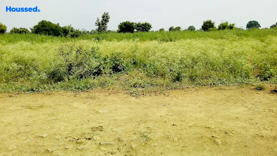 Project Image of Tirupati Dhanbhoomi 2 in Hingna Road, Nagpur - Image 344557