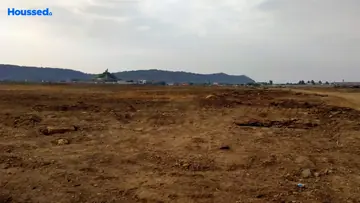 Royal Land