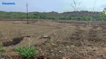 Project Image of Royal Land - Image 358072