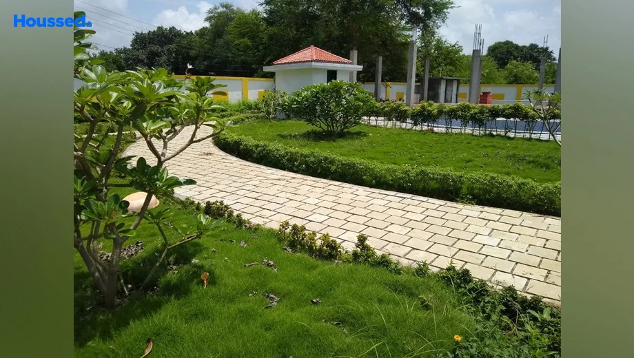 Project Image of Trambak Lake Serene in Palghar, Palghar - Image 357870