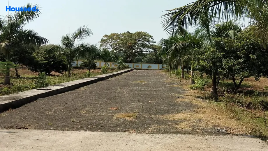 Project Image of Trambak Lake Serene in Palghar, Palghar - Image 357873