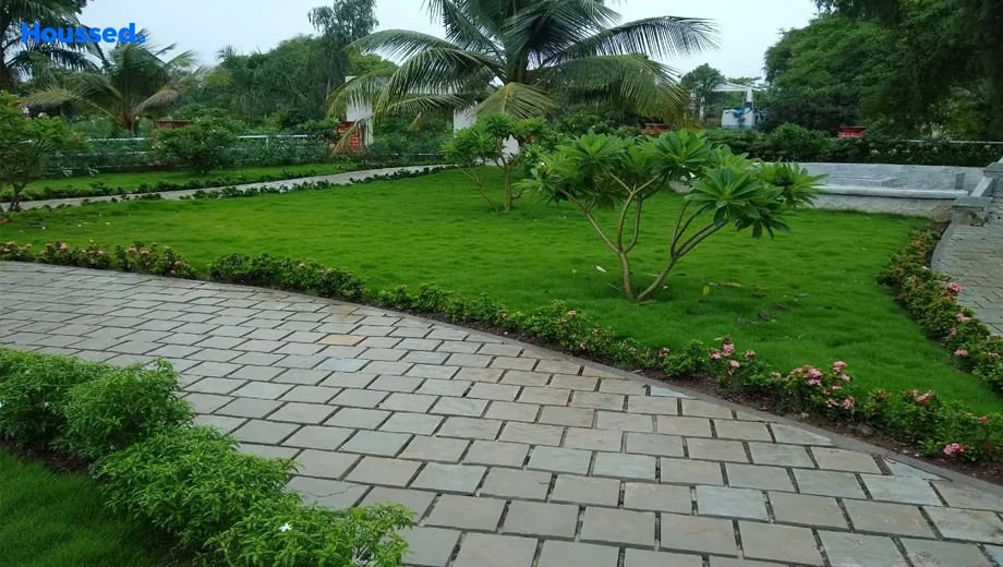 Project Image of Trambak Lake Serene in Palghar, Palghar - Image 357872