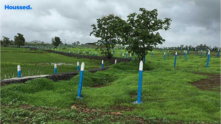 Project Image of Mirador Oasis Estate Phase 2 in Shahapur, Thane - Image 362226