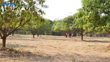 Project Image of VMC Vrindavan Garden - Image 362674