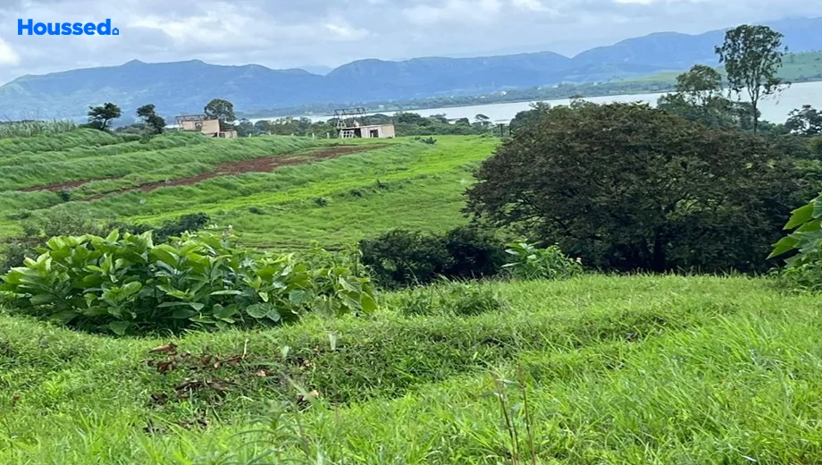 Project Image of Vrindavan Mango Farm in Ambegaon, Pune - Image 366668