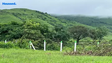 Project Image of Vrindavan Mango Farm - Image 366669