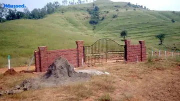 Project Image of Vrindavan Mango Farm - Image 366666