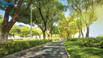 Project Image of Godrej Eden Estate Phase 1 - Image 366769