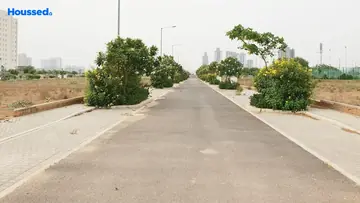 Ireo City Plots