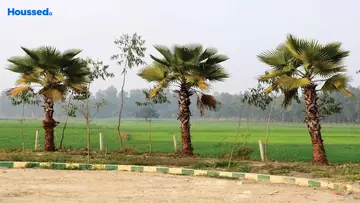Project Image of Swaraaj The Villagio - Image 363822