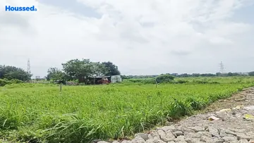 Gopin Green Fields