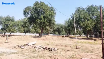 Vishnudhara Solace Green