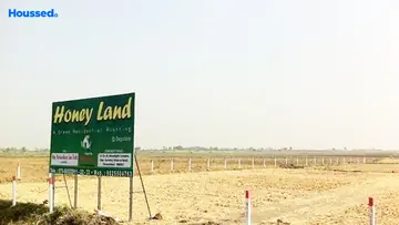 Project Image of Honey Land - Image 361272