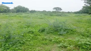 Yoginkumar Oasis Greens