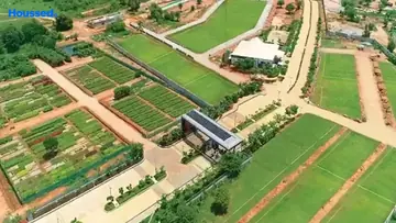 Project Image of Purva Oakshire - Image 322576