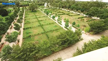Project Image of Shriram Rainforest - Image 328852