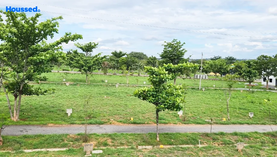 Project Image of NBR Meadows in Hosur Road, Bangalore - Image 329754