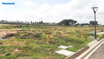 Project Image of Mahaveer Edenfield - Image 330098