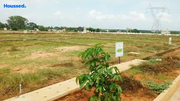 Project Image of S2 Homes Butterfly Gardens - Image 333931