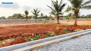 Project Image of Pionier Central Avenue - Image 330536