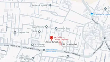 Location of Pionier Daffodils - Image 333589