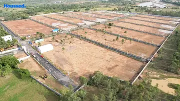 Project Image of G Square Dynasty - Image 317633