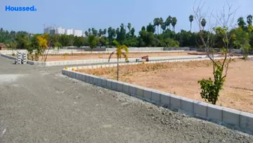 Project Image of Staar RV Garden - Image 324829