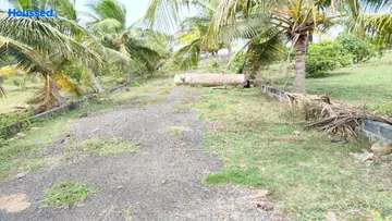 Project Image of Galaxy Farms - Image 358456