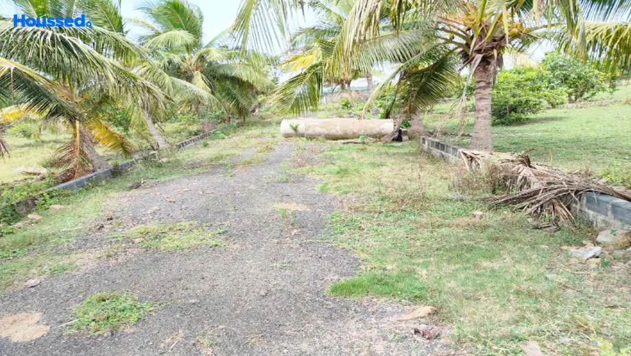 Project Image of Galaxy Farms in Guduvancheri, Chennai - Image 358456