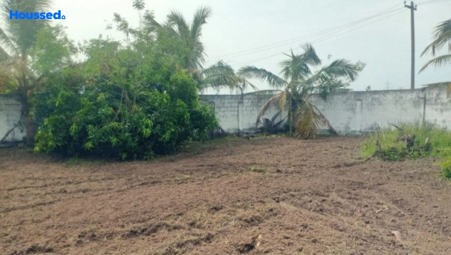 Project Image of Galaxy Farms in Guduvancheri, Chennai - Image 358454