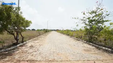 Project Image of Radiance Marina - Image 322957