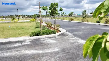 Project Image of Urban Tree Sunstone Gardens - Image 323164