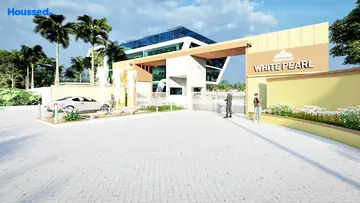Project Image of Global White Pearl - Image 332589