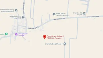 Location of Earthen Forest In My Backyard - Image 332742
