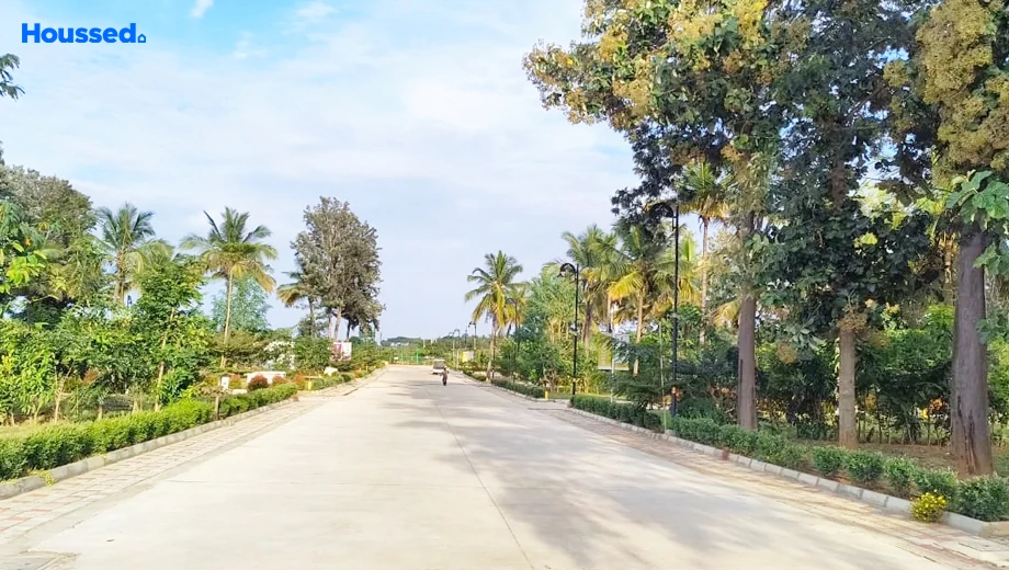 Project Image of Earthen Forest In My Backyard in Devanahalli, Bangalore - Image 332740