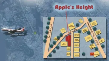 Location of Apples Height - Image 368278