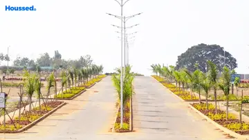 Project Image of KNS Ojas - Image 330599