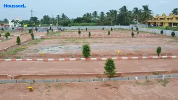 Project Image of Sizzle Park Fields - Image 334019
