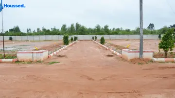Project Image of Sizzle Park Fields - Image 334017