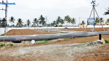 Project Image of Sizzle Avalon - Image 335173