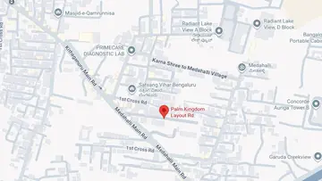 Location of Sizzle Palm Kingdom - Image 331698